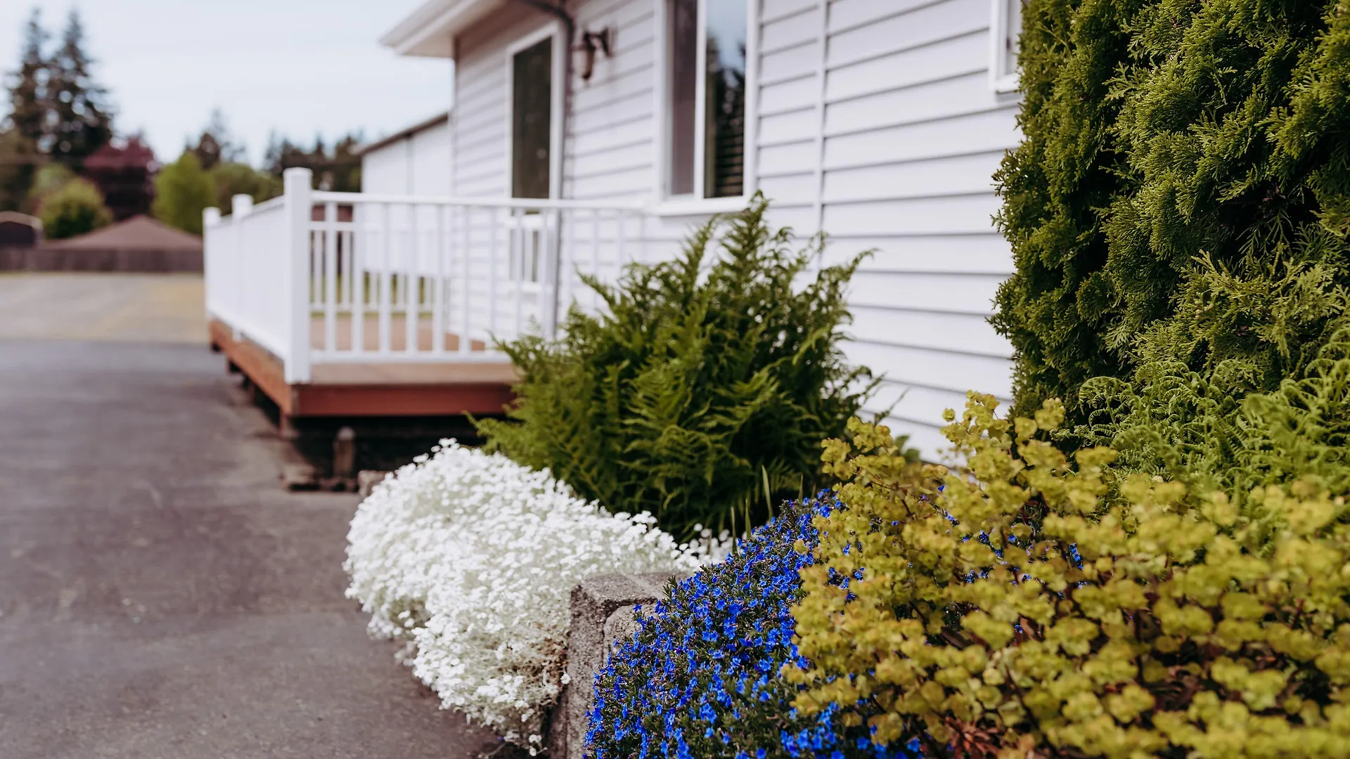4 Best 3-Star Hotels in Olympic Peninsula for Every Base