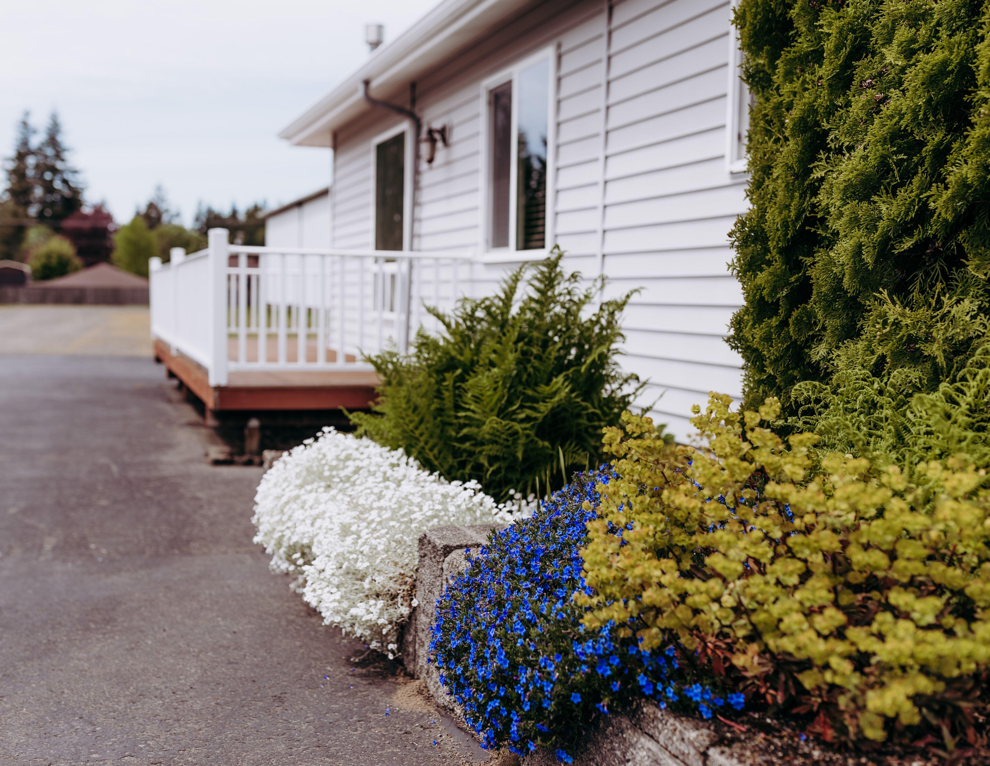4 Best 3-Star Hotels in Olympic Peninsula for Every Base
